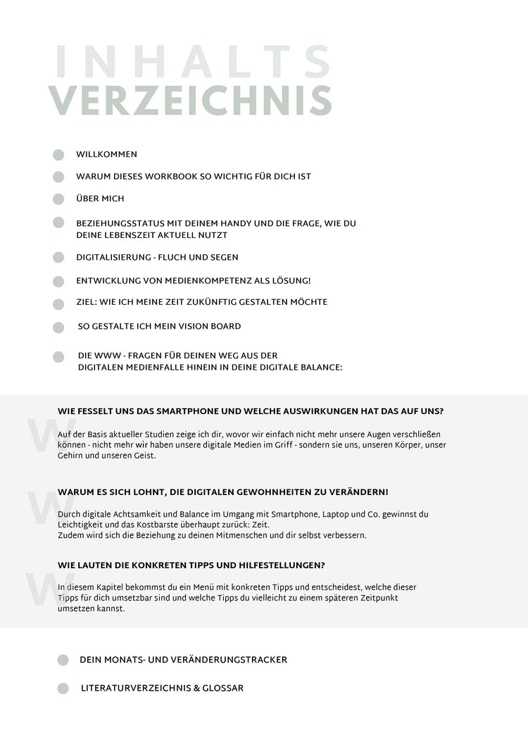 Digital Balance Masterplan – EBook und Workbook (160 Seiten, Sofort-Download)